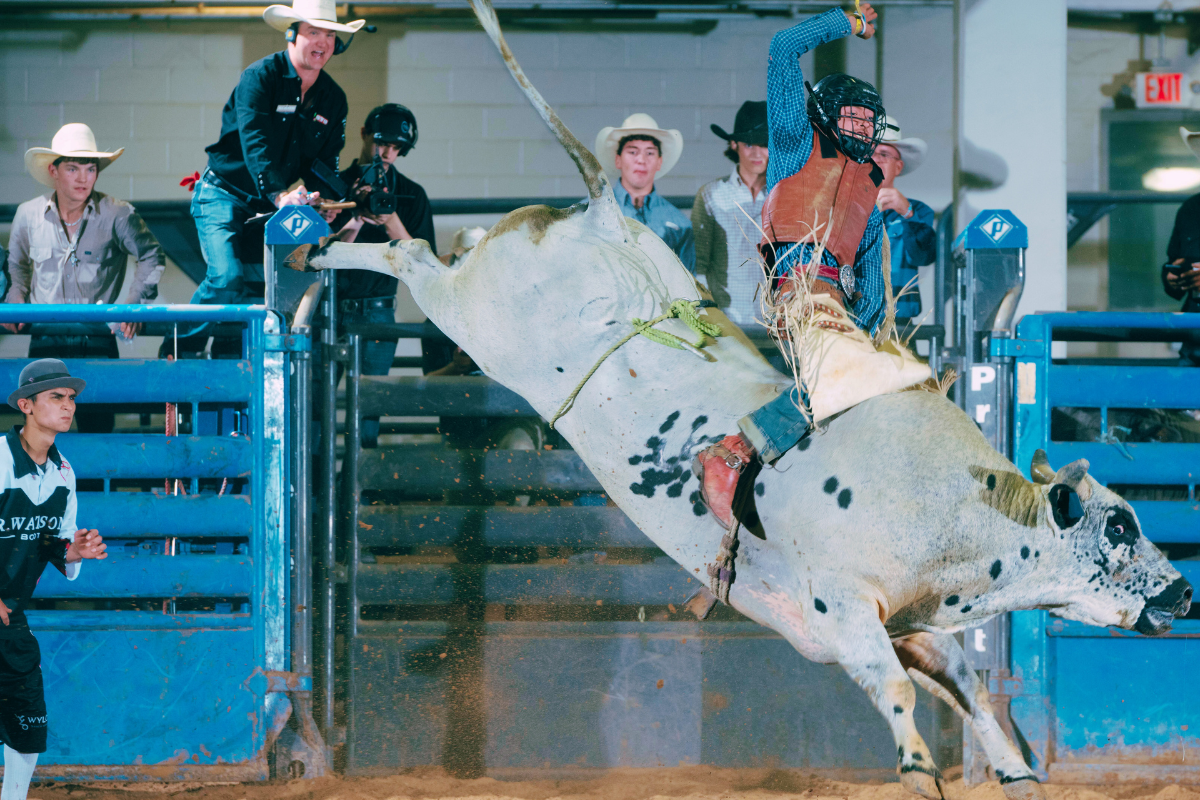 BTO ride Belton finals